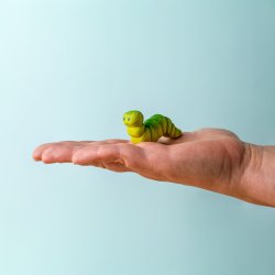Caterpillar