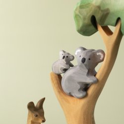 Koalafamilie-s�t
