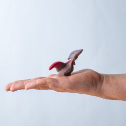 Pteranodon s�t