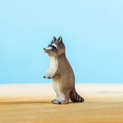 Racoon