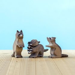 Racoon