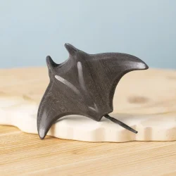Revmanta