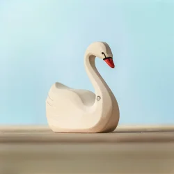 Svan
